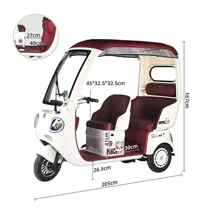 Ebike Trike для езды