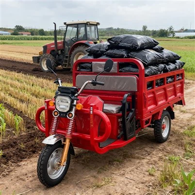 Электрический трехколесный велосипед для груза